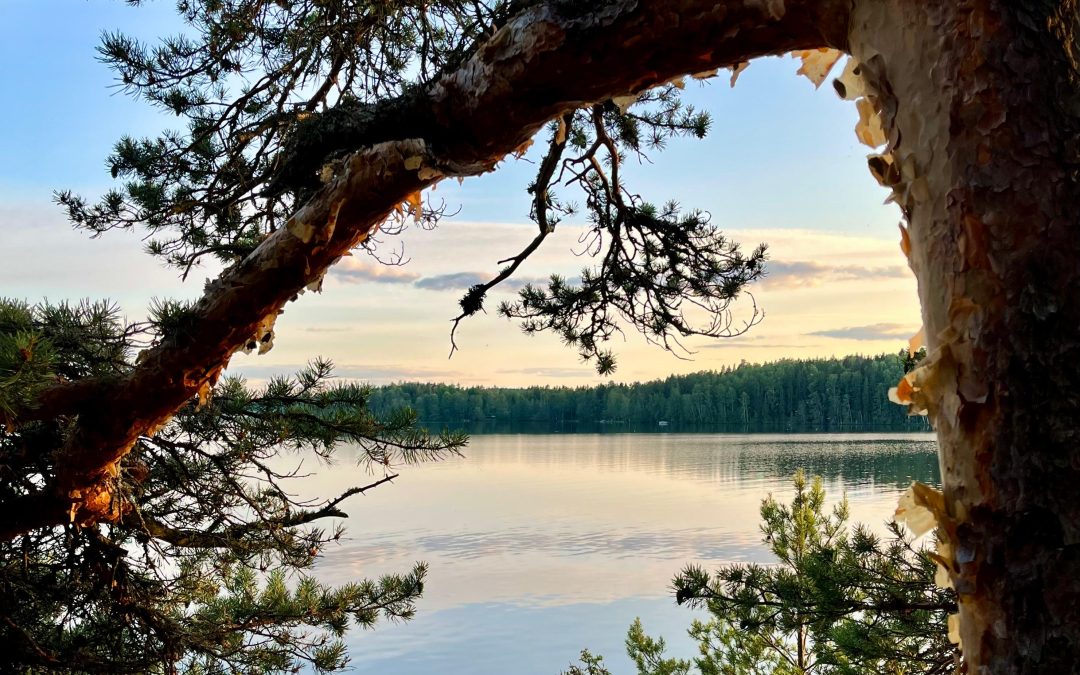 Yrittäjyyttä tunnettavuuden ja omien vahvuuksien kautta
