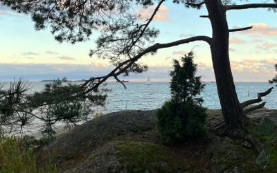 Nyt voi ostaa myös markkinointipäällikön koulutusta