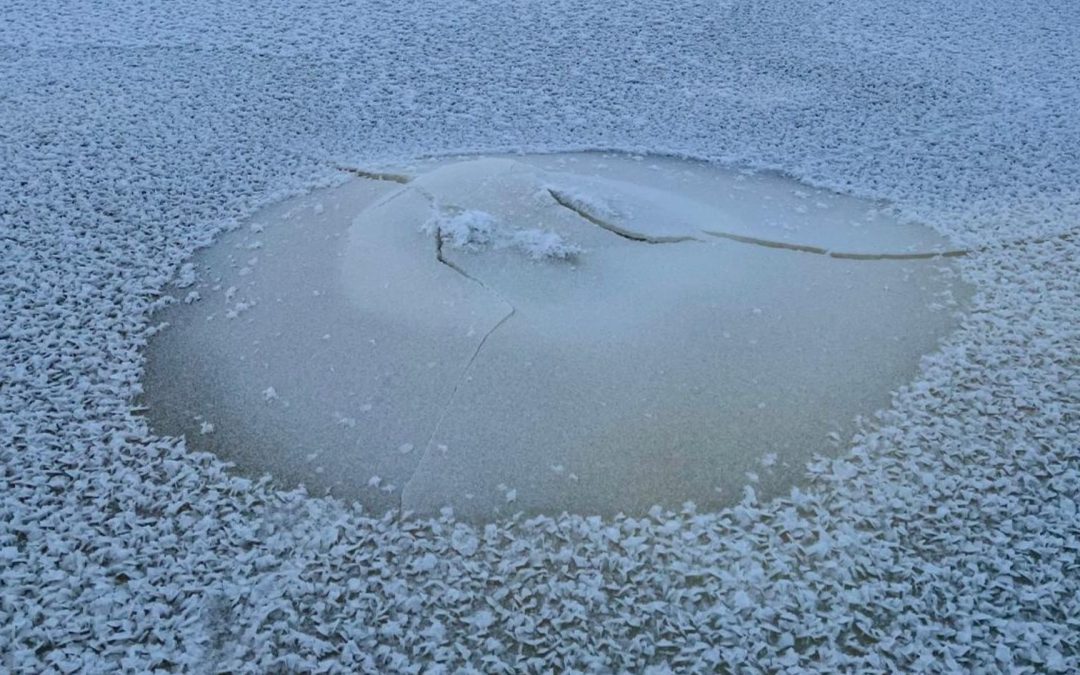 Menestyksekästä uutta vuotta kaikille!